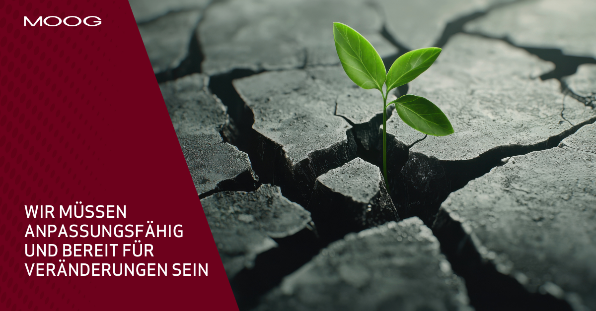 Junge Pflanze wächst in rauem Lebensraum