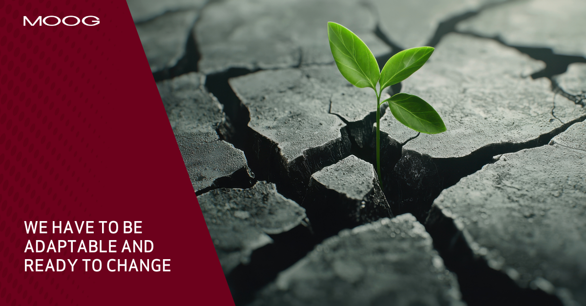 Young plant grows in harsh habitat